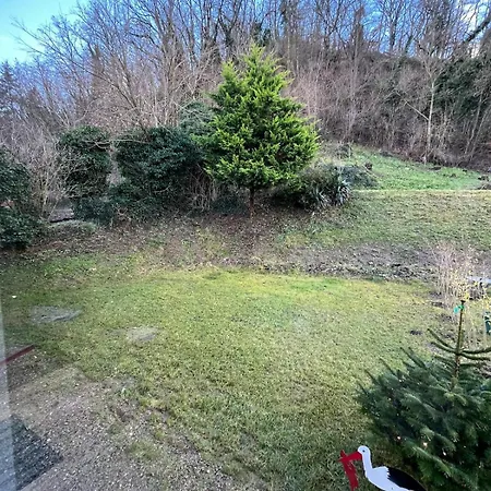 Cigogne Et Sanglier Holiday home